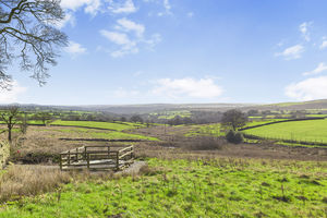 Photo 58- click for photo gallery